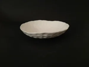 Terra Nova Ceramic