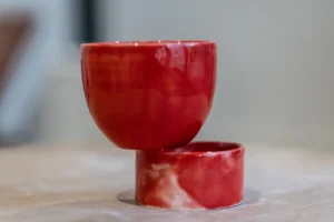 Terra Nova Ceramic